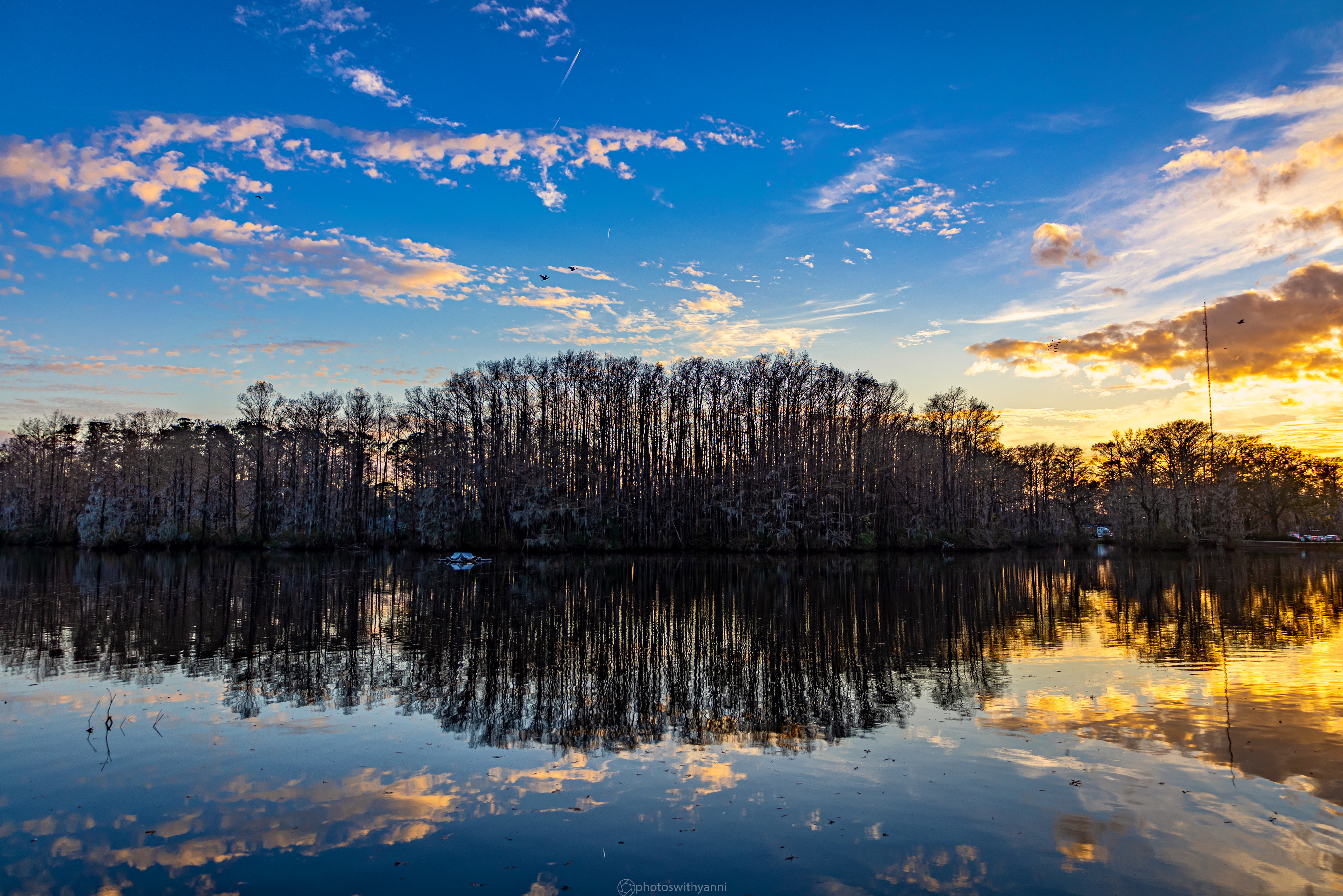 Cypress trees mirrored in still water at sunrise — the quiet magic of the Carolina lowlands.